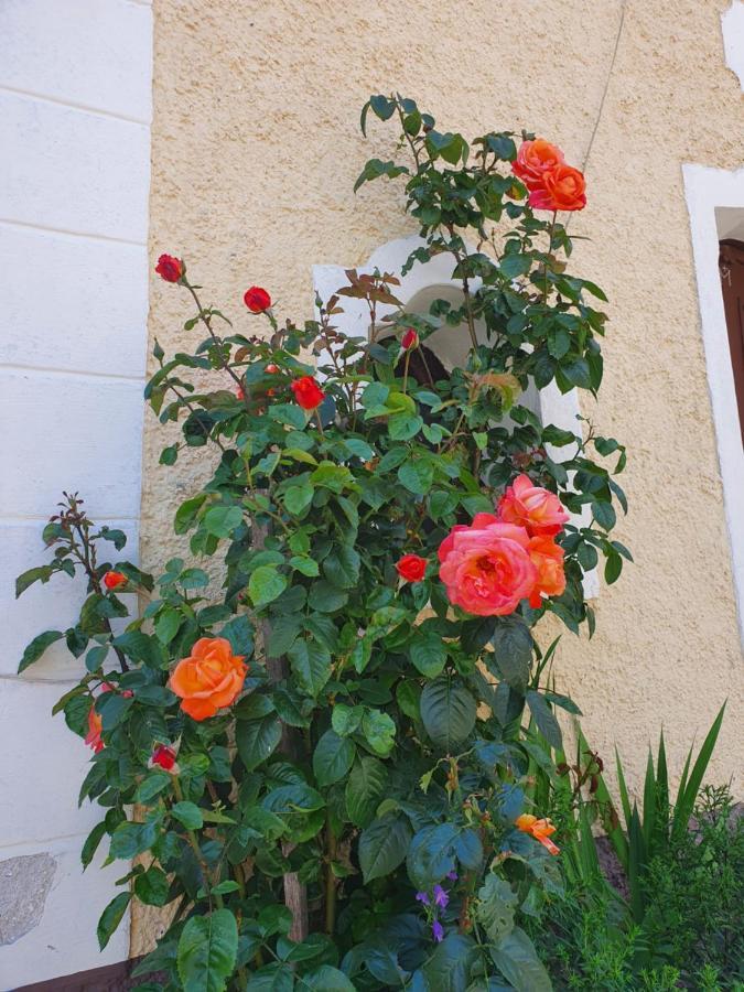 Stoffenhof Apartment Oberdrauburg Exterior foto